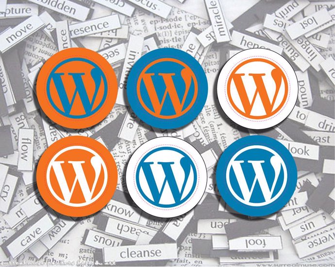 Wordpress recurso