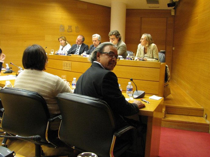 Un momento de la Comisión