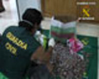 Cuatro detenidos de una red dedicada al traslado de droga entre España y Francia