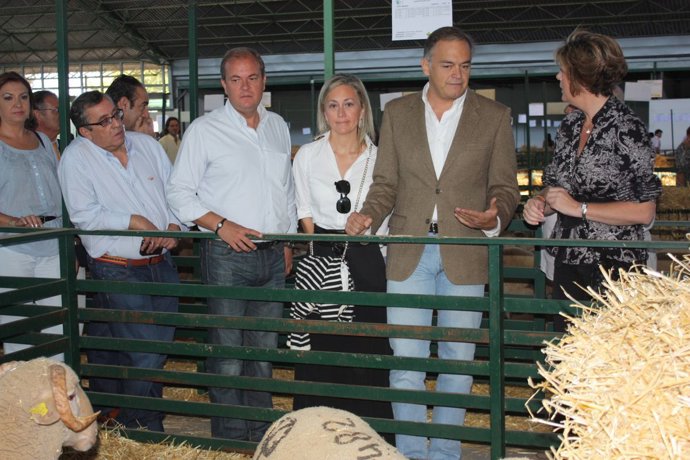 1 Octubre González Pons Y Monago En Zafra
