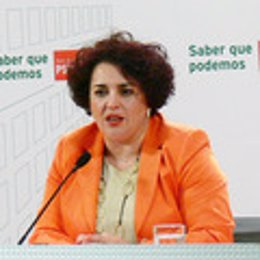 La secretaria provincial del PSOE de Granada, Teresa Jiménez, en rueda de prensa