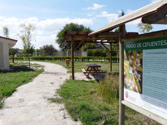 La recuperación del manantial del Prado de Cifuentes en Calatayud se presenta a 