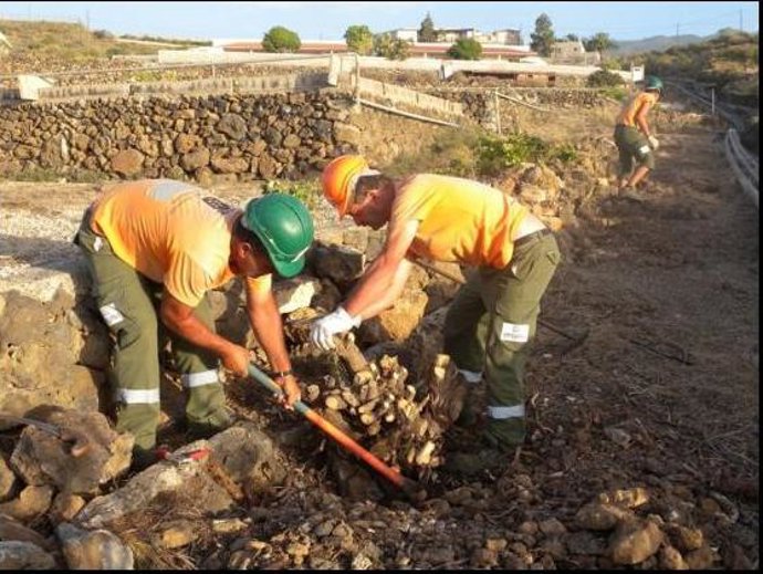Acondicionamiento De Caminos Y Senderos Rurales Medio Millón De Euros