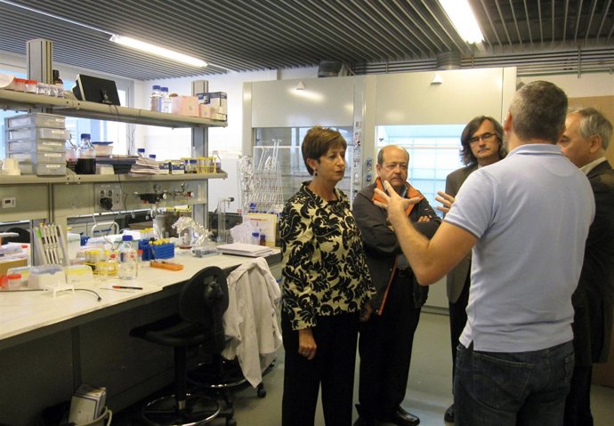 consejera de sanidad y consumo aragón, Luisa María Noeno