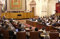 PSOE-A pide a PP-A e IU-CA que se sumen a su propuesta en el Parlamento en apoyo a la Capitalidad