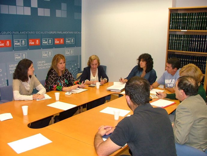 Reunión del PSOE con el observatorio Social por la Dependencia