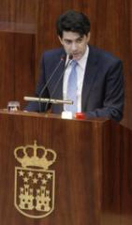 David Pérez, en la Asamblea de Madrid