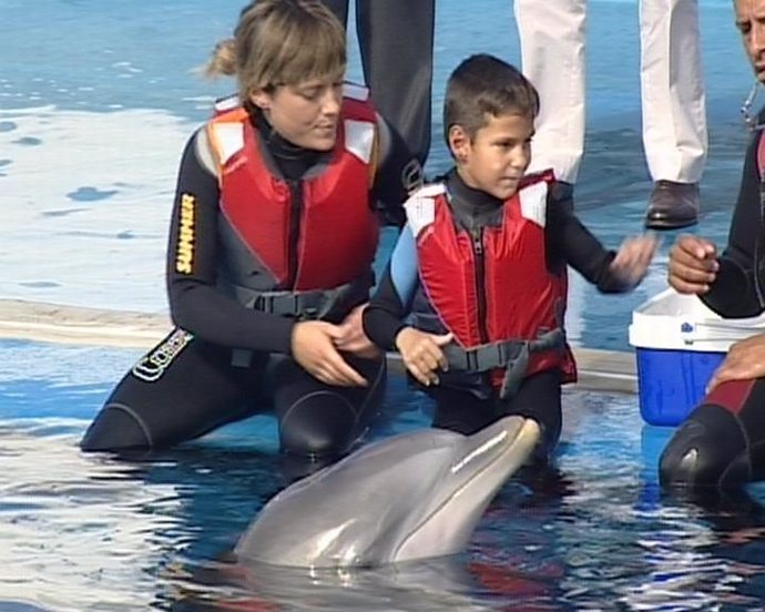 El Oceanogràfic investiga sobre delfinoterapia
