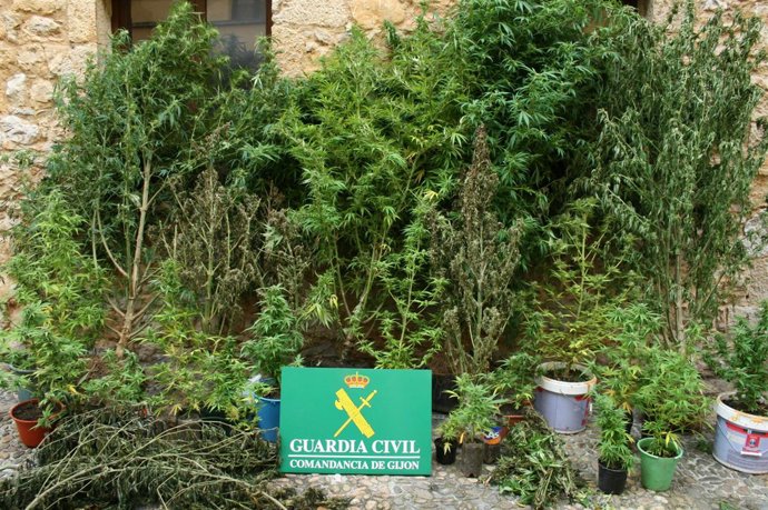 Remitiendo Nota Prensa Detención Tres Personas Por Delito Contra La Salud Públic