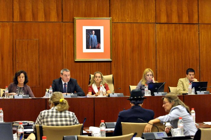 Comisión de Educación en el Parlamento de Andalucía