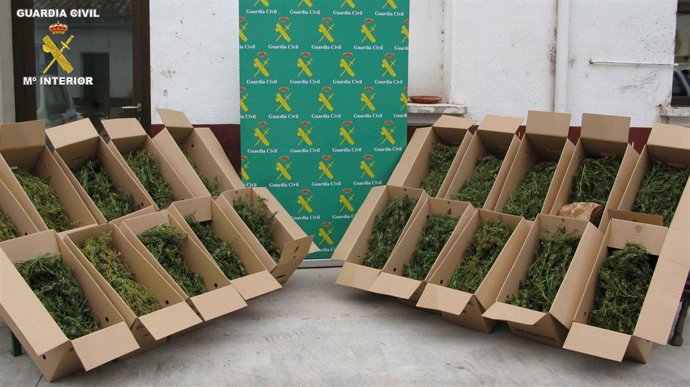 Imagen de la droga intervenida