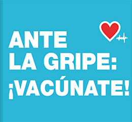 Detalle del folleto de la campaña de vacunación antigripal. 