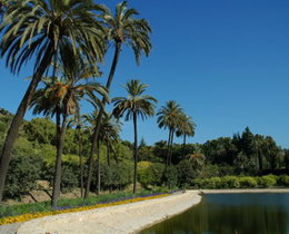Vista del lago de La Concepción