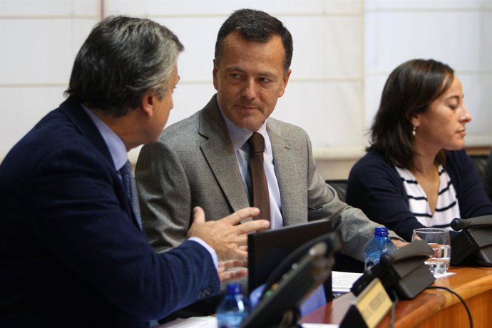 agustin hernandez comparece na comision 2ª de ordenacion territorial, obras publ