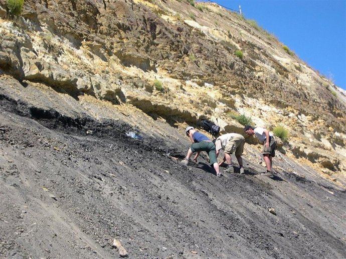 Yacimiento de ámbar de Sant Just, en Utrillas (Teruel)