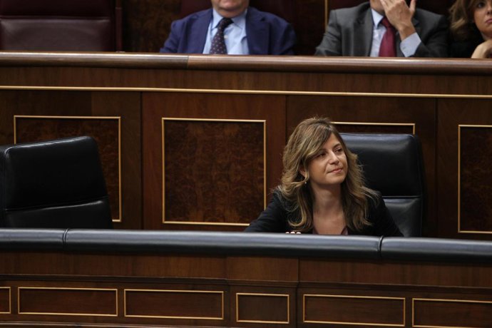 Bibiana Aído en el Congreso