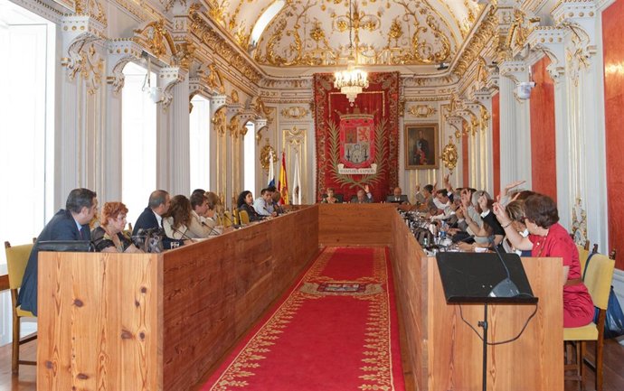 PLENO MUNICIPAL 28.07.10