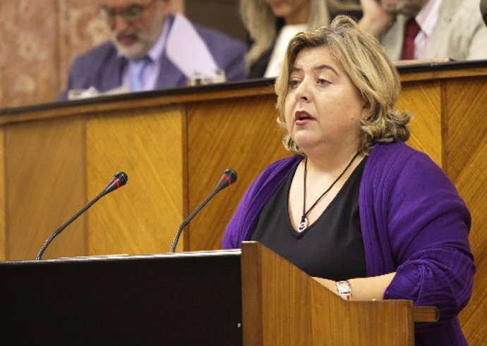 Clara Aguilera, en el Parlamento