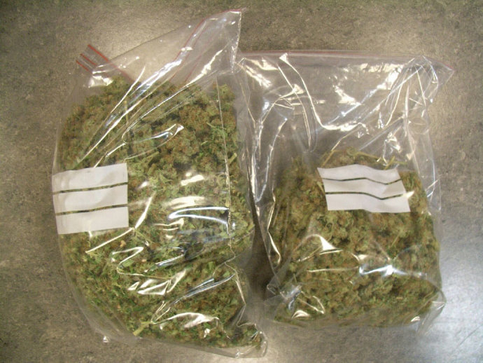 Parte del cannabis hallado en la vivienda.