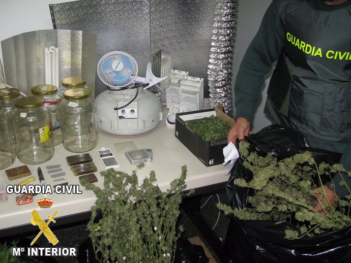 LA GUARDIA CIVIL DETIENE A DOS VECINOS DE NIGRÁN POR CULTIVO Y VENTA DE SUSTANCI