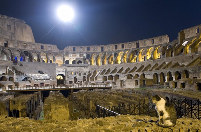 Coliseo de Roma