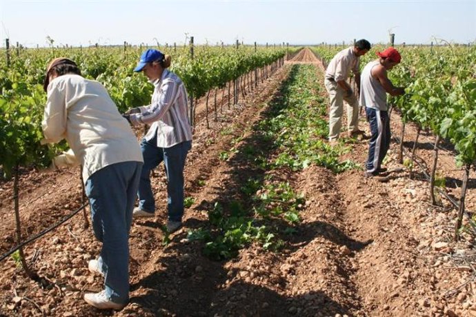 Agricultores trabajando en el campo