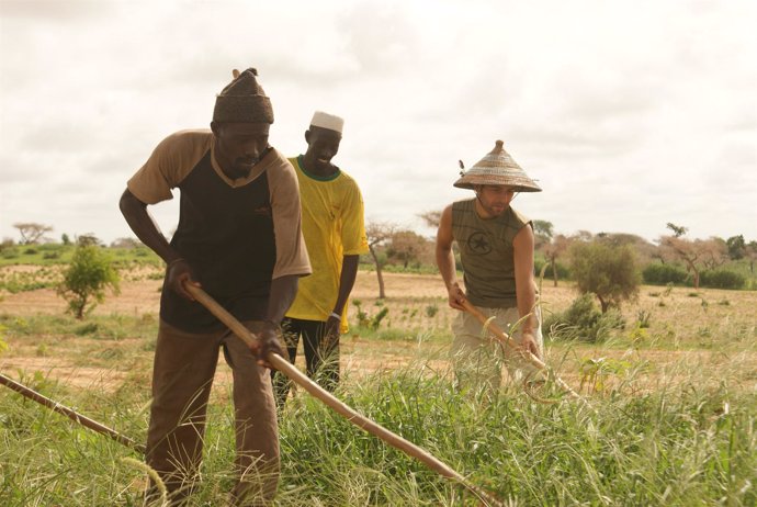 Sergio Ramírez y sus compañeros senegaleses trabajando en el campo 