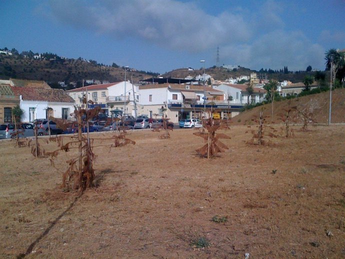 Imagen del parque del Cañaveral