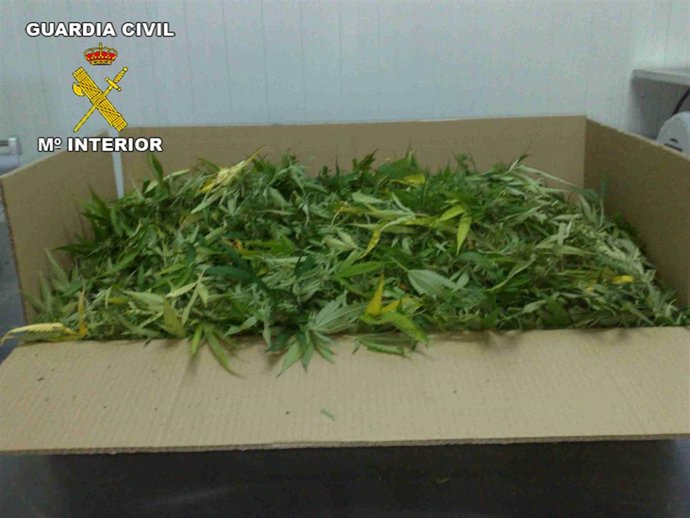 NOTAS PRENSA. GUARDIA CIVIL.