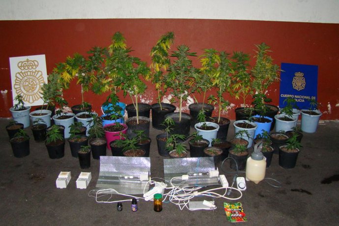 Operación 'manos tijeras'.