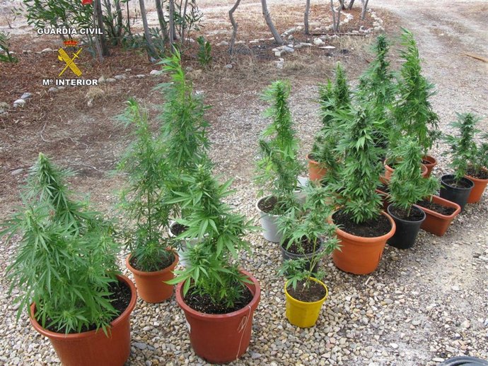 REMITIENDO FOTOGRAFIAS