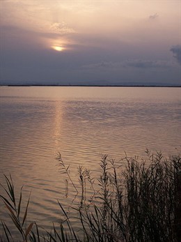 albufera