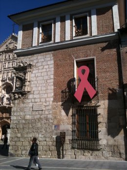 El lazo rosa, en la Diputación de Valladolid.