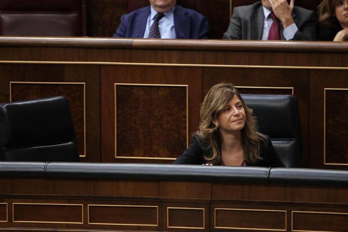 Bibiana Aído en el Congreso