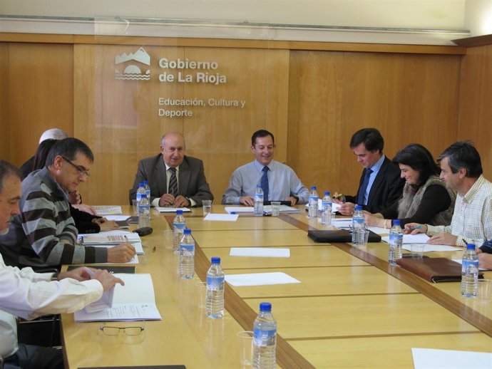 Luis Alegre y Javier Erro durante la presidencia del pleno del Consejo de FP