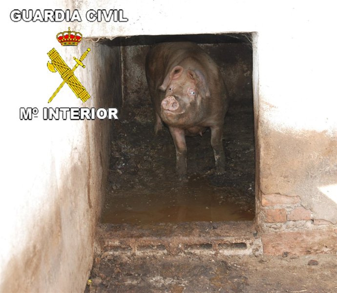 Condiciones de insalubridad en la que se encontraban las instalaciones