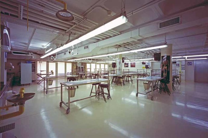 Sala de disección del Campus de la Salud de la UB en Bellvitge