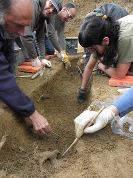 Trabajos en una fosa común ubicada en Ribera Alta 