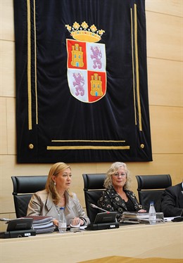 Comparecencia de Pilar del Olmo