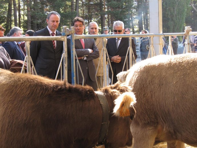 El consejero Aliaga en la inauguración del certamen en Biescas