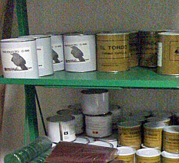 GECEN. Parany Informe Ingeniero De Montes.