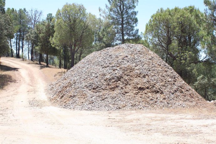 Biomasa en un monte público de Andalucía