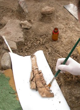 Actualidad IAPH: Premio En Bienal De Cine Científico
