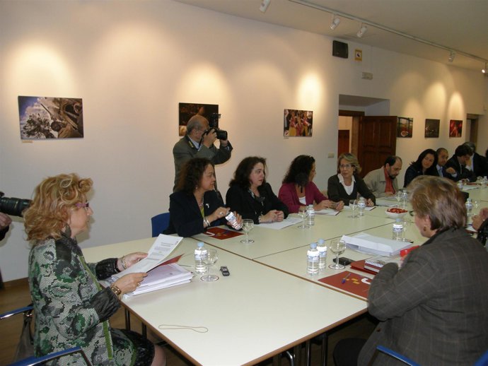 Ndp Consejo Dirección Cáceres 2016