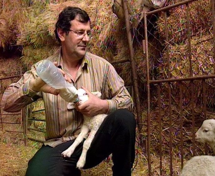 Nacimiento Corderos R