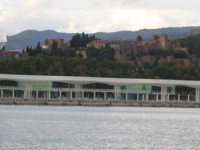 Palmeral de las sorpresas y la Alcazaba, al fondo