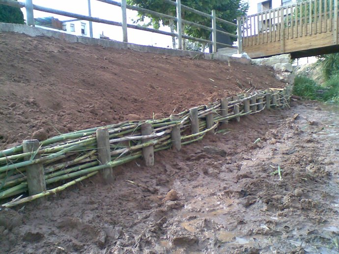 Imagen de la actuación 