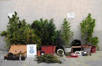 Siete detenidos en dos operaciones contra cultivos clandestinos de marihuana en Ciudad Real y Valdepeñas