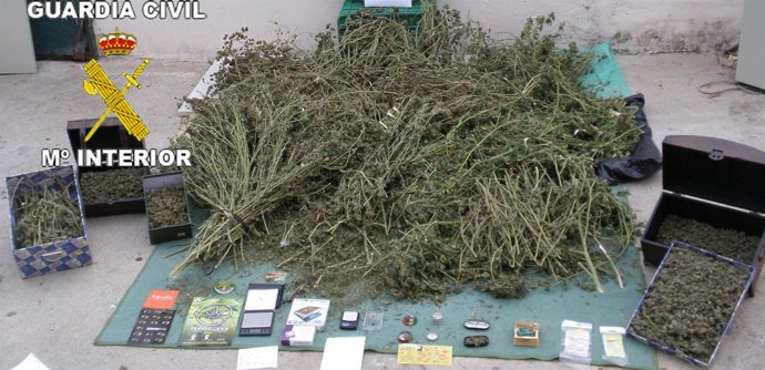 Sustancia incautada en el registro