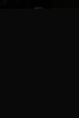 Foto: KRISTY SPAROW/GETTY